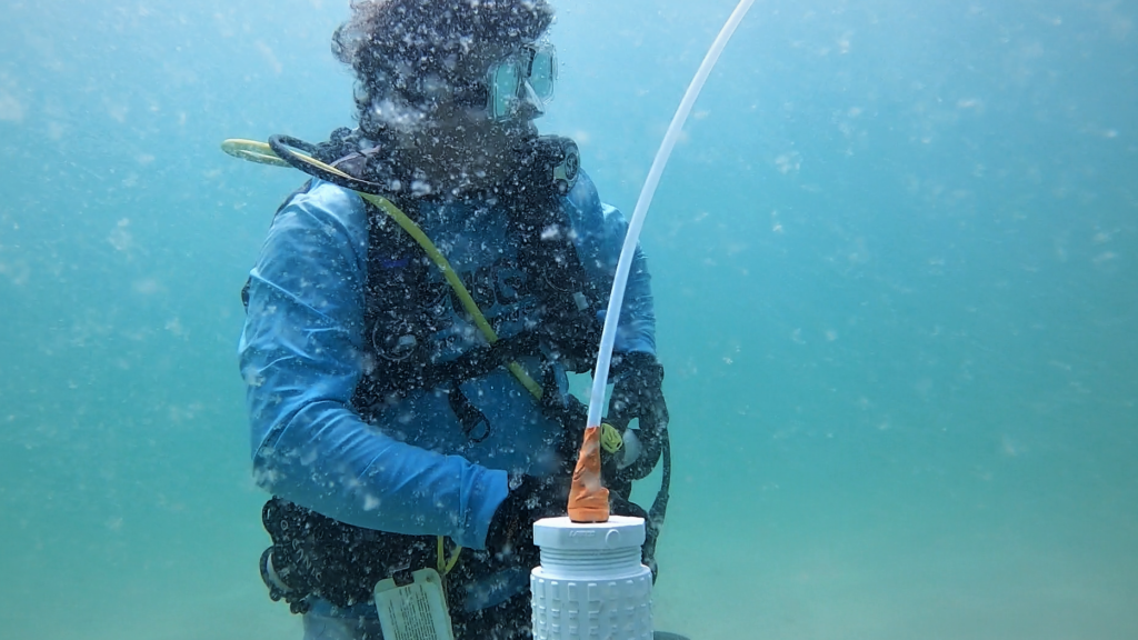 Diving into Groundwater