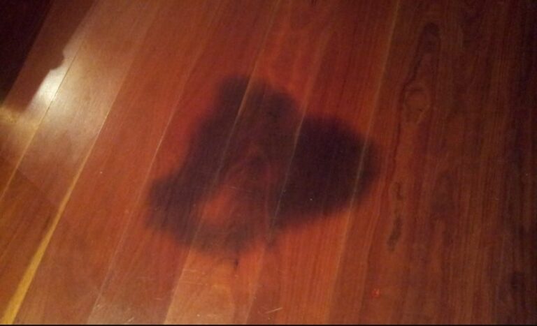 Black Stains On Hardwood Floor From Urine