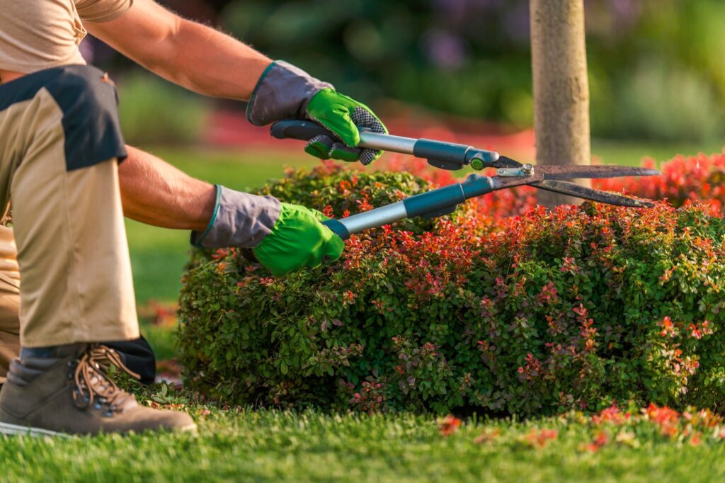 Landscape Maintenance Services