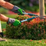 Landscape Maintenance Services