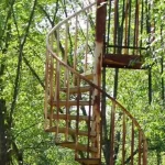 staircase in the middle of the woods