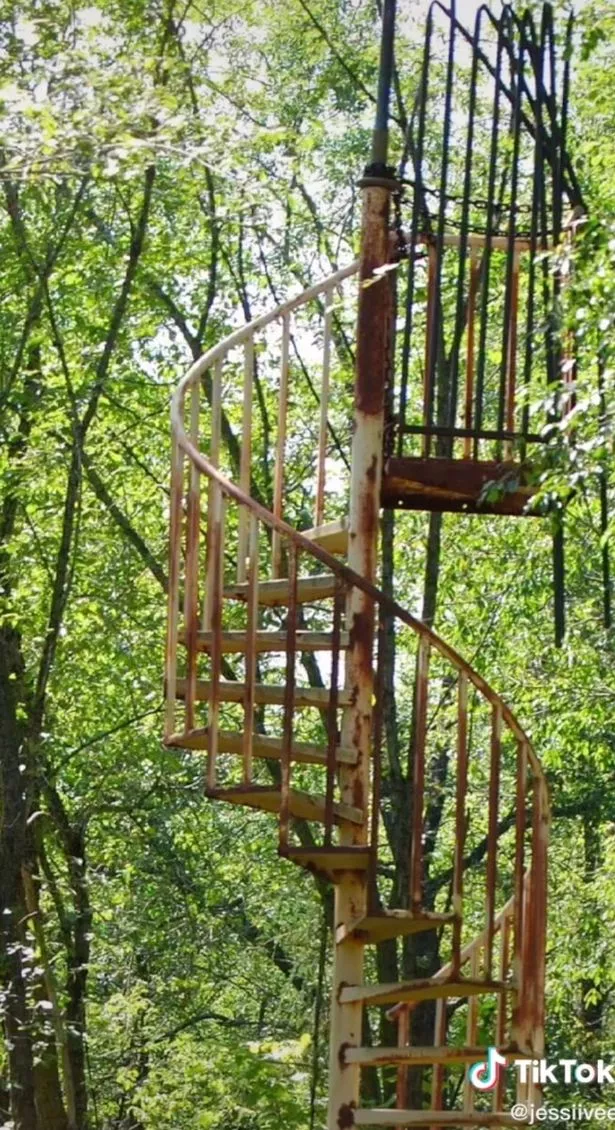 staircase in the middle of the woods