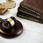 Immigration Lawyer